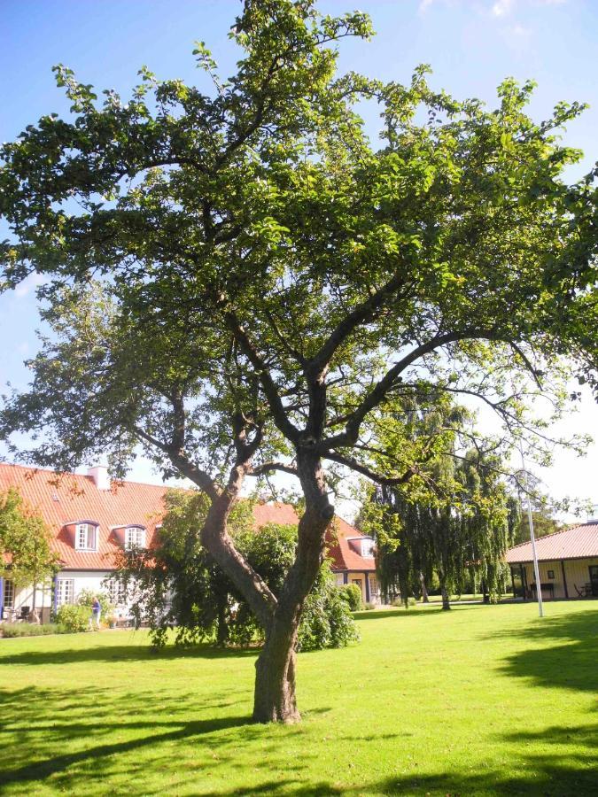 Inspiration Center Denmark, Bed & Breakfast Maribo Ngoại thất bức ảnh